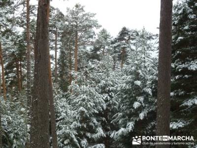 Ruta arroyo de la Chorranca; viajar a tu aire;excursiones fin de semana desde madrid 